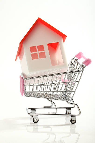 istock House on  shopping cart 158753438