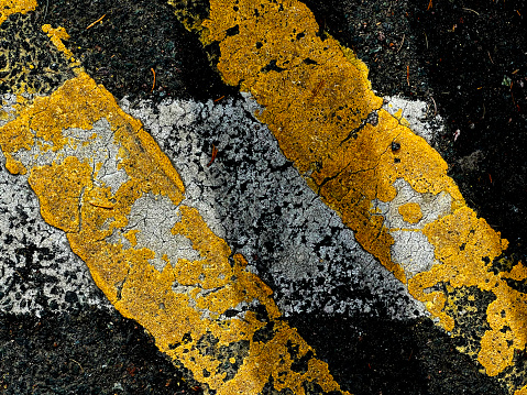 Yellow and white road markings