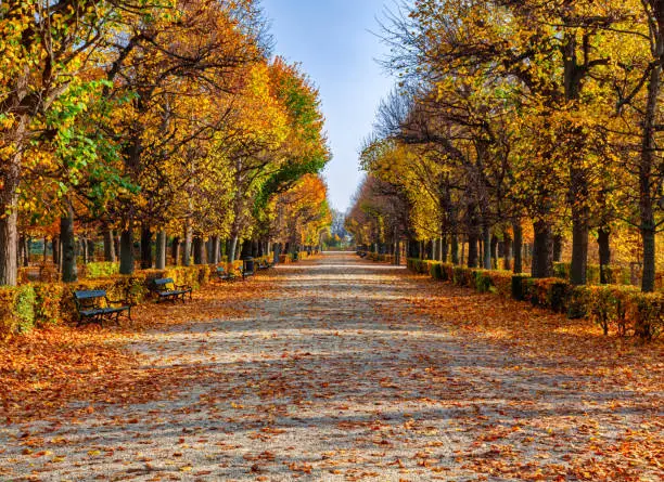 Empty road in autumn Park