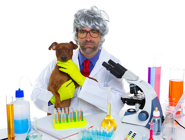 istock Crazy nerd scientist silly veterinary man with dog at lab 158755226