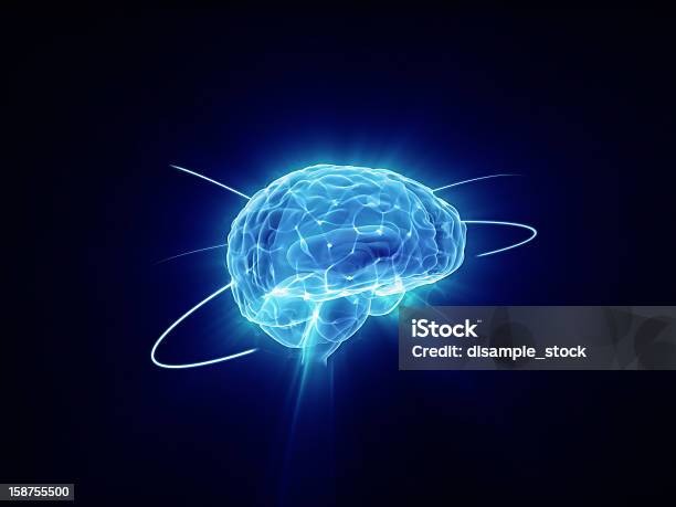 La Actividad Cerebral Foto de stock y más banco de imágenes de Cerebro humano - Cerebro humano, Abstracto, Actividad