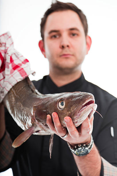 istock Young male cook with black jacket. 158755733