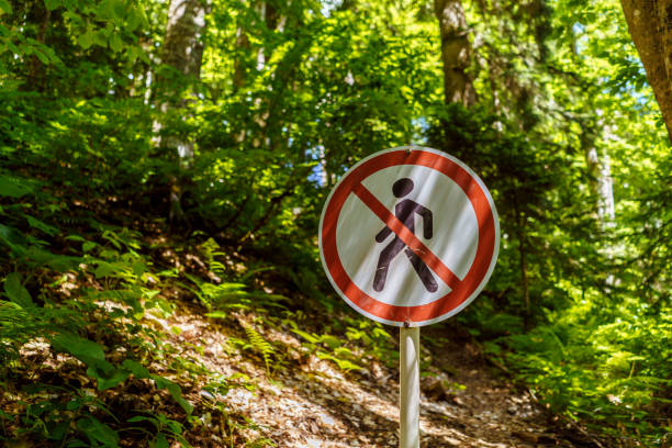 istock walking forbidden sign in park or forest 1587564419