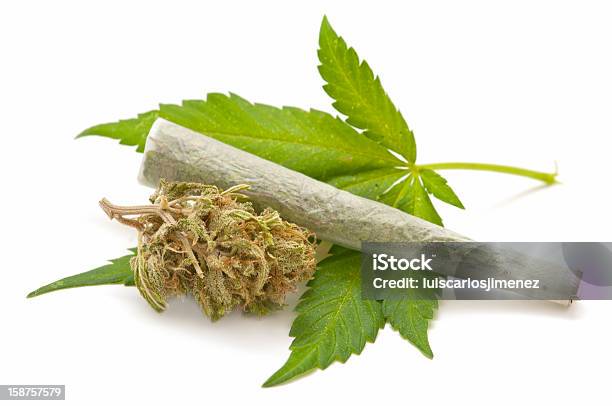 Hemp Stock Photo - Download Image Now - Addiction, Cannabis - Narcotic, Cannabis Plant