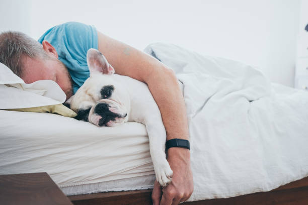 istock Man sleeping in bed with his Frenchie dog 1587580838