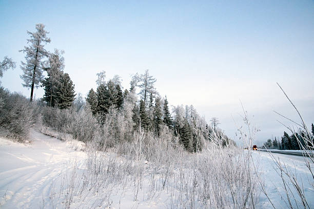 invierno, siberia. - tony snow fotos fotografías e imágenes de stock