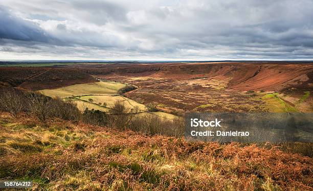 Otwór Horcum Na Północ York Przycumuje Goathland Yorkshire Wielka Brytania - zdjęcia stockowe i więcej obrazów Anglia