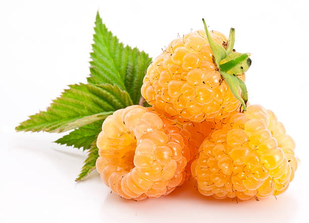 istock Yellow raspberries isolated on a white background. 158765282