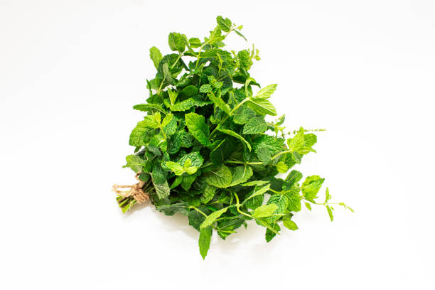 istock Fresh mint bunch isolated on white background. Spices and medicinal herbs 1587667217