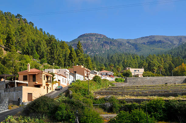 Village of Vilaflor at Tenerife Village of Vilaflor among a forest of pines in the mountain at Tenerife in the Spanish Canary Islands. village vilaflor on tenerife stock pictures, royalty-free photos & images