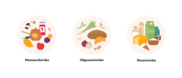 Healthcare dieting infographic collection. Vector flat food illustration. Low Fodmap diet. Food plate of monosaccharide, oligosaccharide and disaccharide ingredients. Design for healthy eating
