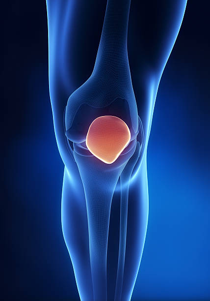istock Knee patella anatomy 158769488