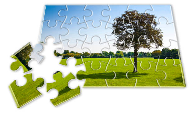 istock Lone tree in a green meadow - environmental conservation concept in jigsaw puzzle shape 1587706214