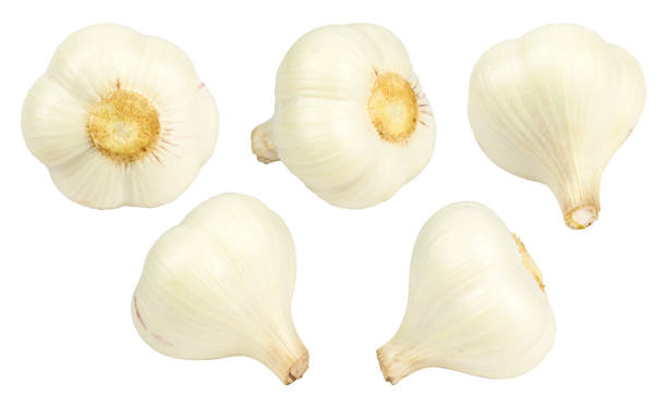 istock garlic. Young garlic isolated from background 1587708875