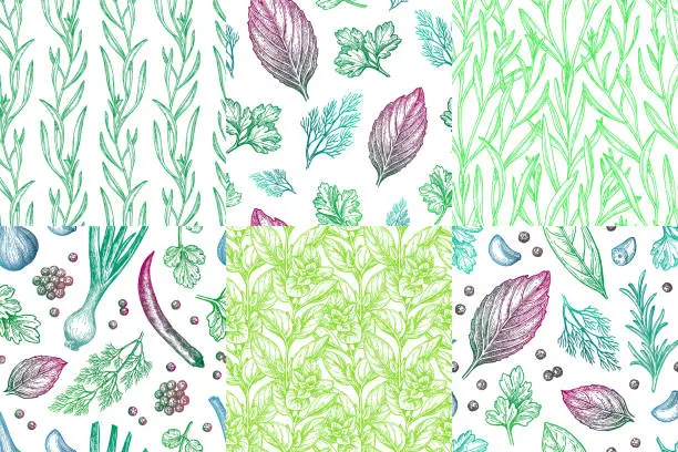 Vector illustration of Collection of seamless patterns with herbs.