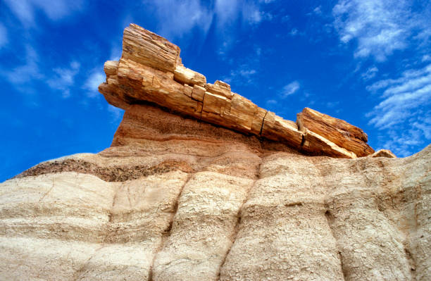 skrzemieniałe drewno w park narodowy skamieniali lasu - petrified forest national park zdjęcia i obrazy z banku zdjęć