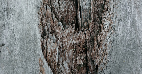 A old wood texture and floor surface crack and broken stlye for background and texture.
