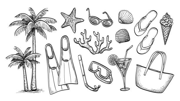 ilustrações de stock, clip art, desenhos animados e ícones de seaside vacation ink sketches set. - etching starfish engraving engraved image