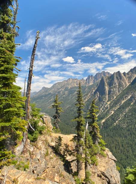 kiefern und berggipfel sind der blick auf den washington pass overlook trail (5477'). - north cascades national park washington state northern cascade range mountain pass stock-fotos und bilder