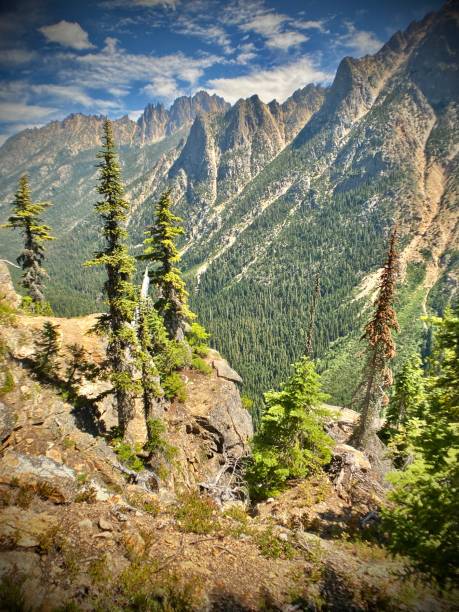 in alto - la vista dal sito di osservazione del washington pass vicino a mazama, washington. - north cascades national park washington state northern cascade range mountain pass foto e immagini stock