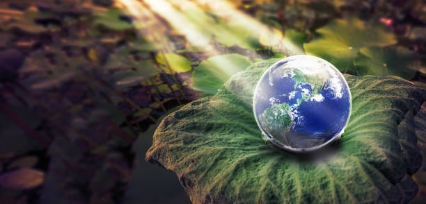 istock Save the earth and water concept 1587735880