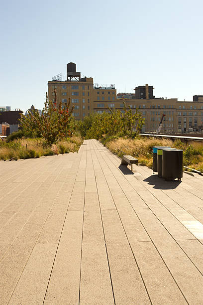 istock High Line Park in Chelsea, New York 158773667