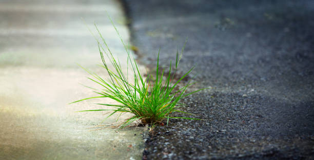 istock Nature find the way concept background 1587739215