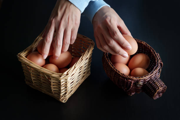 istock Don't put all your eggs in one basket 1587753110
