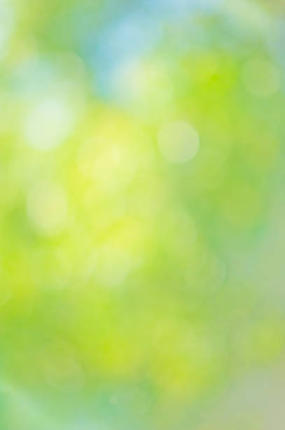 istock Beautiful natural bokeh 158775473