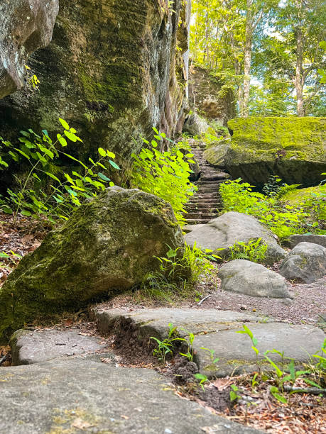 istock Rim Rock Trail located within Shawnee National Forest 1587780863