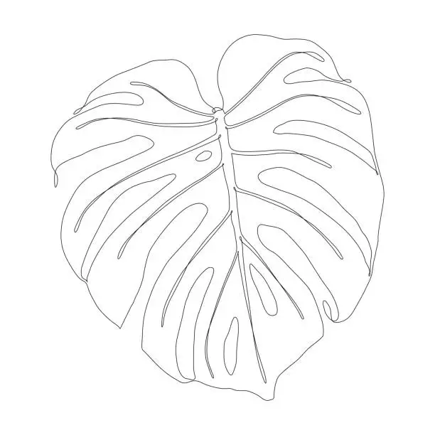 Vector illustration of Continuous Line Drawing of a Monstera Leaf with Editable Stroke
