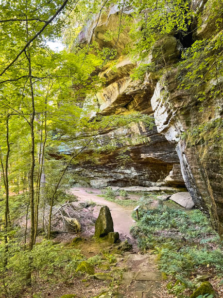 istock Rim Rock Trail located within Shawnee National Forest 1587784240