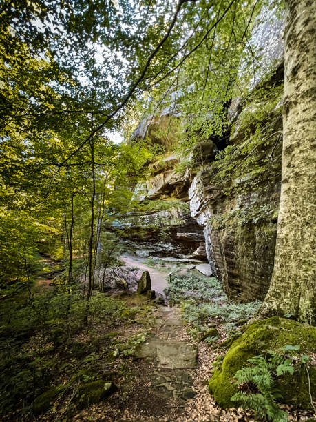 istock Rim Rock Trail located within Shawnee National Forest 1587784257