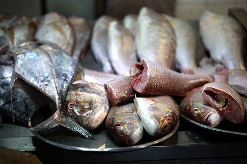 An assortment of freshly caught sea water fish displayed on ice at an Asian fishmonger's stall.