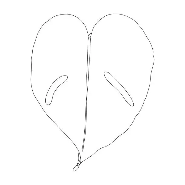Vector illustration of Swiss Cheese Plant Monstera Leaf Continuous Line Drawing with Editable Stroke