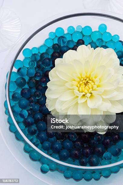 White Flower Decor Stock Photo - Download Image Now - Blue, Centerpiece, Decoration