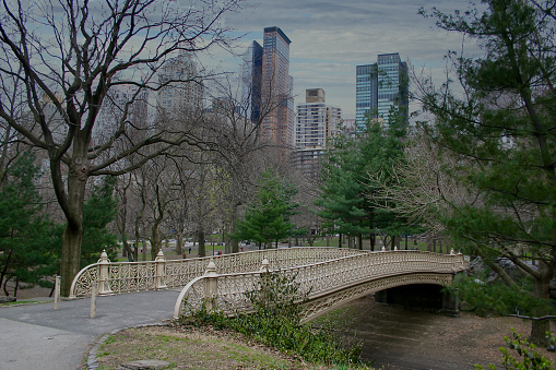 New York City skyline view from Central Park