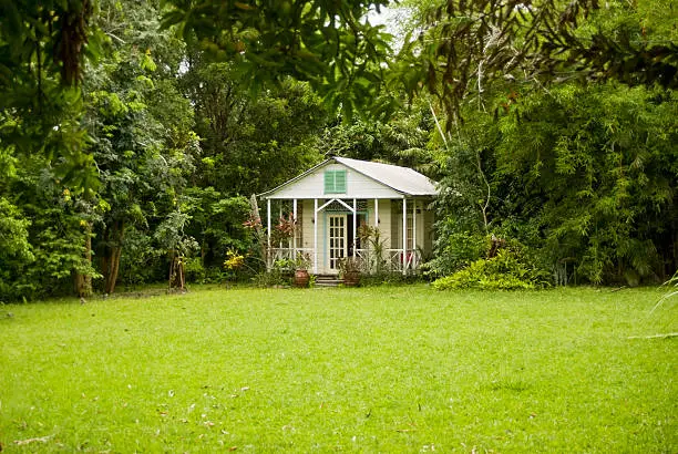 Photo of secluded cozy cottage nestled in lush woods and lawn