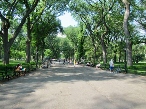 istock New York City Central Park path on a sunny summer day 1587853208