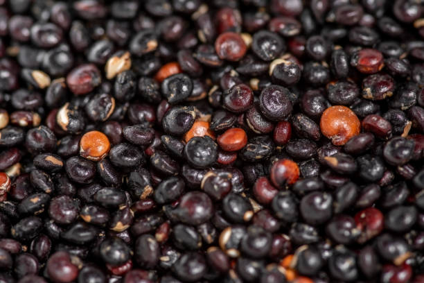 istock Seeds black quinoa, close-up. Top view and selective focus. Healthy diet. 1587865261