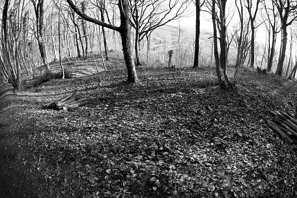 small welsh village on the other side of a forest, black and white, winter