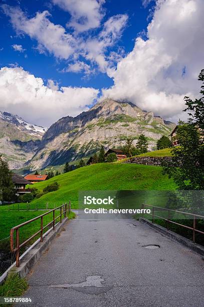Photo libre de droit de Trajet De Jungfrau En Suisse Berner Oberland banque d'images et plus d'images libres de droit de Alpes européennes - Alpes européennes, Arbre, Berne