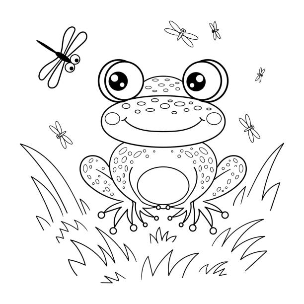 ilustraciones, imágenes clip art, dibujos animados e iconos de stock de rana en la hierba. dibujo en blanco y negro. vector - frog batrachian animal head grass