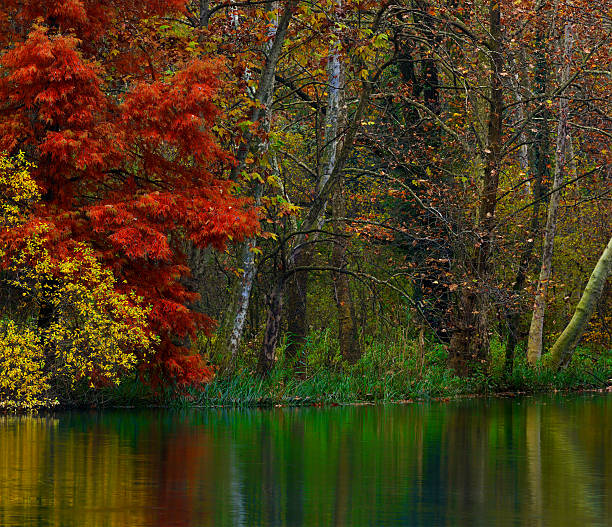 Angle de la rivière en automne - Photo