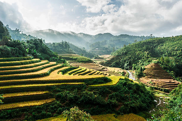 istock Hills of rice terraces with mountains and clouds at background 158792689