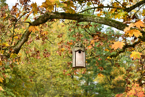 Birdhouse hanging on a tree