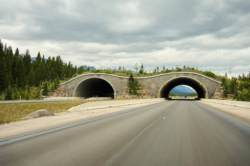 Two small tunnels arching over a multi-lane highway running through scenic countryside