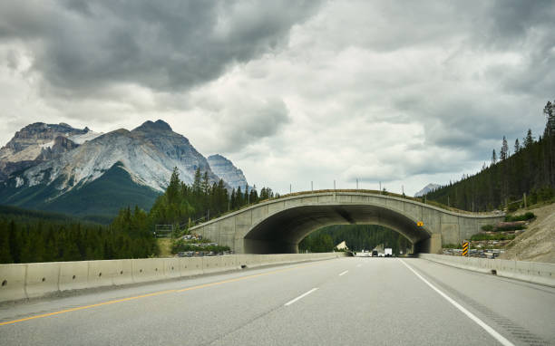 istock Cars driving through small tunnel on a scenic highway 1587937101