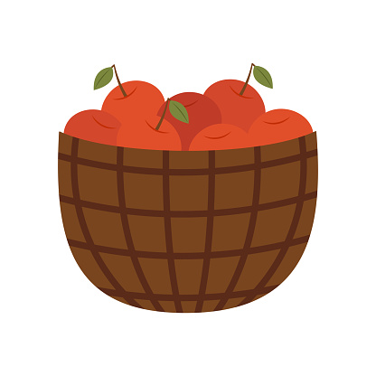 Apples in a basket vector illustration. harvest season
