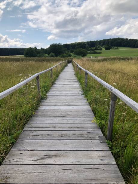 istock A straight wooden path through meadowland 1587963860